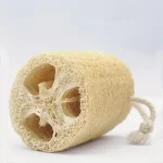 éponge luffa